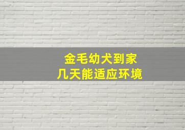 金毛幼犬到家几天能适应环境