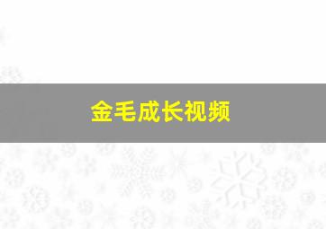 金毛成长视频