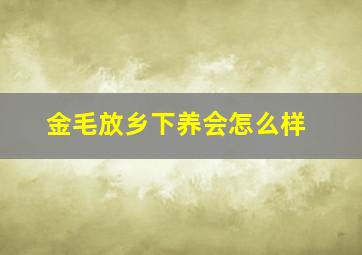 金毛放乡下养会怎么样