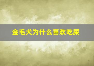 金毛犬为什么喜欢吃屎