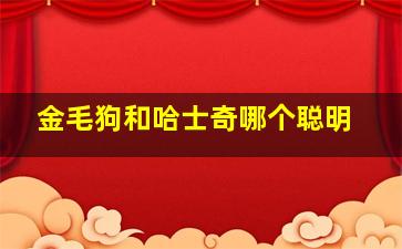 金毛狗和哈士奇哪个聪明