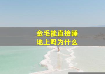 金毛能直接睡地上吗为什么