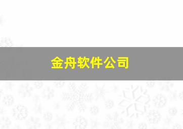 金舟软件公司