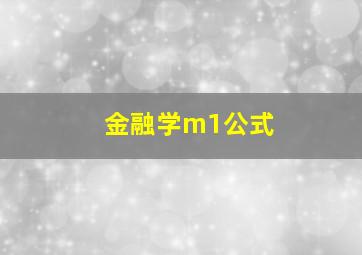 金融学m1公式