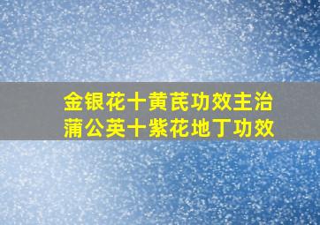 金银花十黄芪功效主治蒲公英十紫花地丁功效