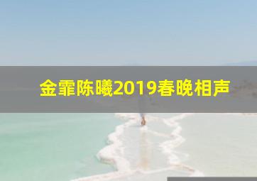 金霏陈曦2019春晚相声