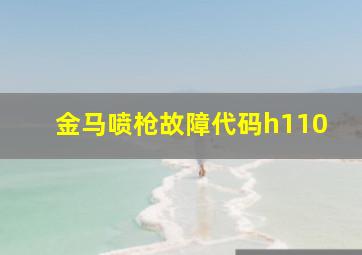 金马喷枪故障代码h110