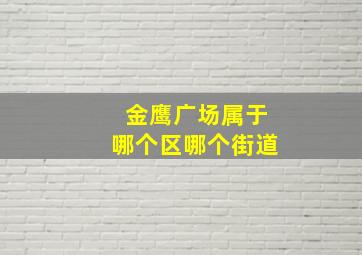 金鹰广场属于哪个区哪个街道