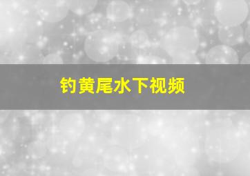 钓黄尾水下视频