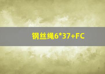 钢丝绳6*37+FC