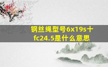 钢丝绳型号6x19s十fc24.5是什么意思