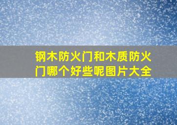 钢木防火门和木质防火门哪个好些呢图片大全