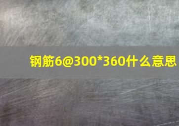 钢筋6@300*360什么意思