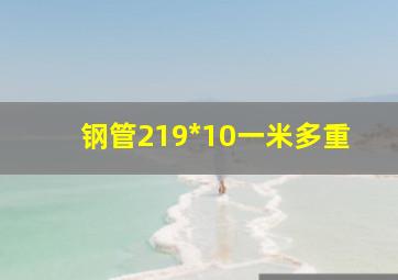 钢管219*10一米多重