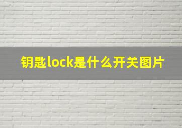 钥匙lock是什么开关图片