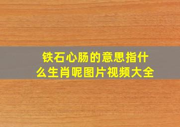 铁石心肠的意思指什么生肖呢图片视频大全