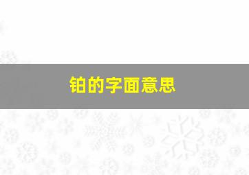 铂的字面意思