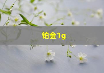 铂金1g