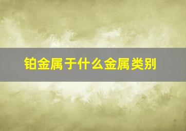 铂金属于什么金属类别