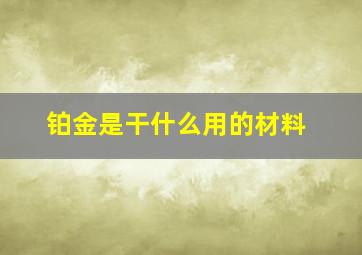 铂金是干什么用的材料