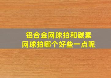 铝合金网球拍和碳素网球拍哪个好些一点呢