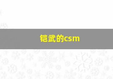 铠武的csm