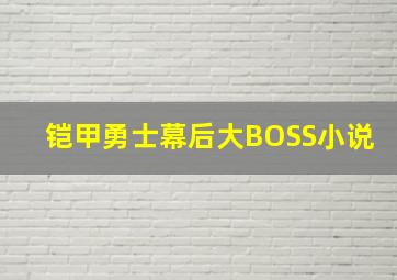 铠甲勇士幕后大BOSS小说