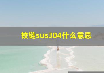 铰链sus304什么意思