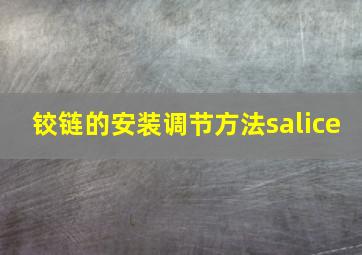 铰链的安装调节方法salice