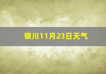 银川11月23日天气