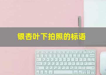 银杏叶下拍照的标语