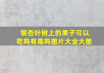 银杏叶树上的果子可以吃吗有毒吗图片大全大图