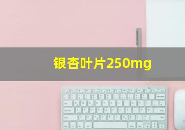 银杏叶片250mg