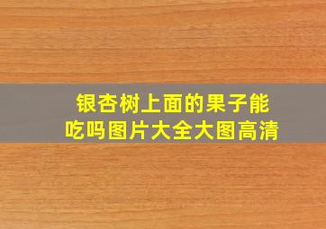 银杏树上面的果子能吃吗图片大全大图高清