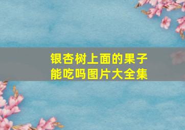 银杏树上面的果子能吃吗图片大全集