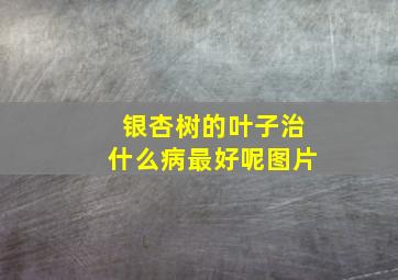 银杏树的叶子治什么病最好呢图片