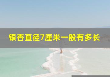 银杏直径7厘米一般有多长