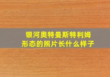 银河奥特曼斯特利姆形态的照片长什么样子