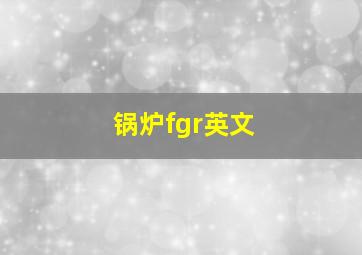 锅炉fgr英文