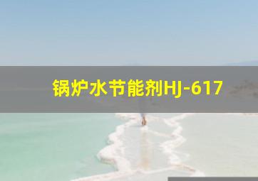 锅炉水节能剂HJ-617