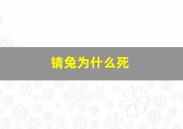 锖兔为什么死