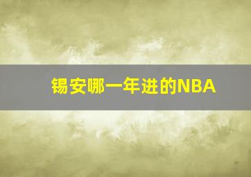 锡安哪一年进的NBA