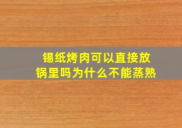 锡纸烤肉可以直接放锅里吗为什么不能蒸熟