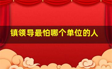 镇领导最怕哪个单位的人