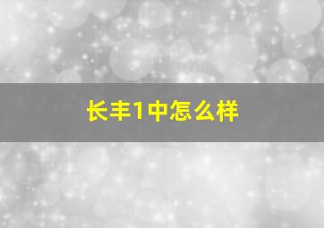 长丰1中怎么样