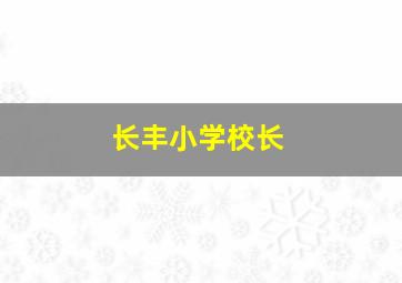 长丰小学校长