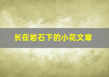 长在岩石下的小花文章