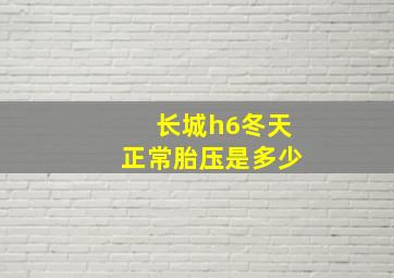 长城h6冬天正常胎压是多少