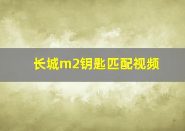 长城m2钥匙匹配视频