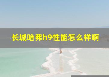 长城哈弗h9性能怎么样啊